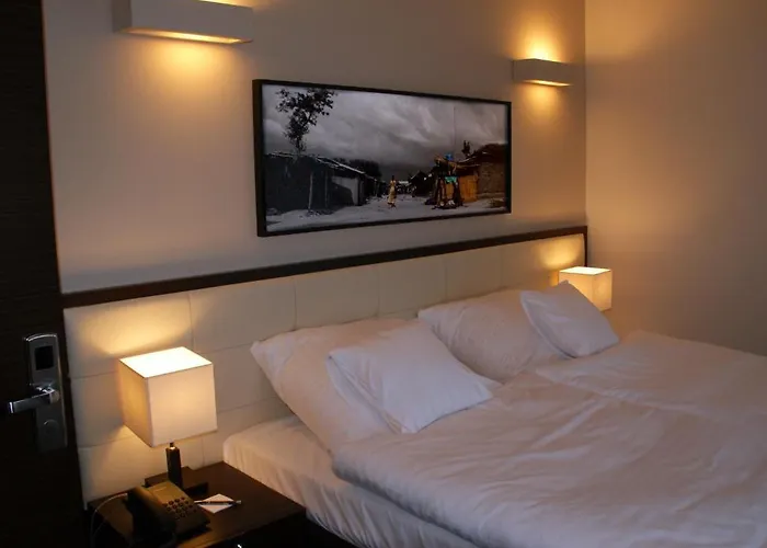 Center House Elephant Posen