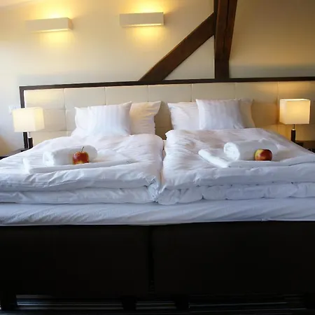 Center House Elephant