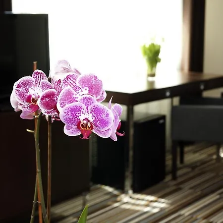 Center House Elephant Semesterbostad Poznań