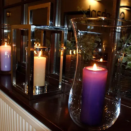 Tatil Evi Center House Elephant Poznan