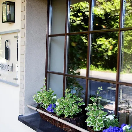 Semesterbostad Center House Elephant *