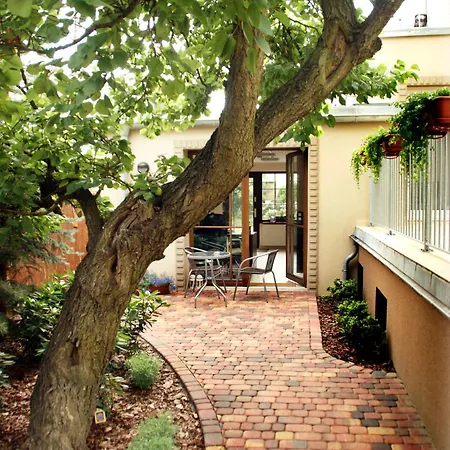 Center House Elephant