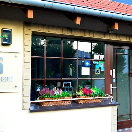 Center House Elephant Πόζναν