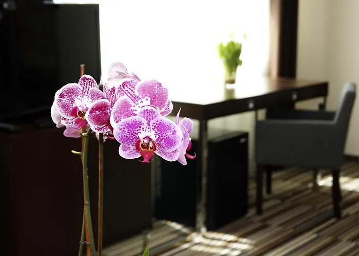 Center House Elephant Tatil Evi Poznan