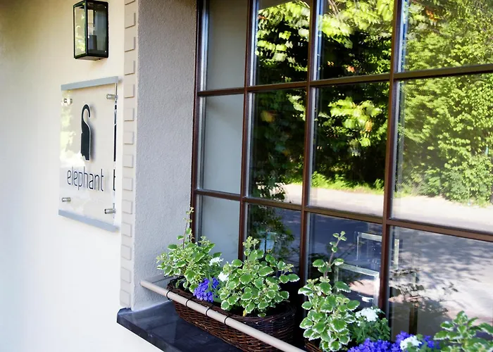 Tatil Evi Center House Elephant *