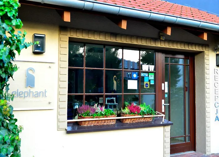 Center House Elephant Poznan